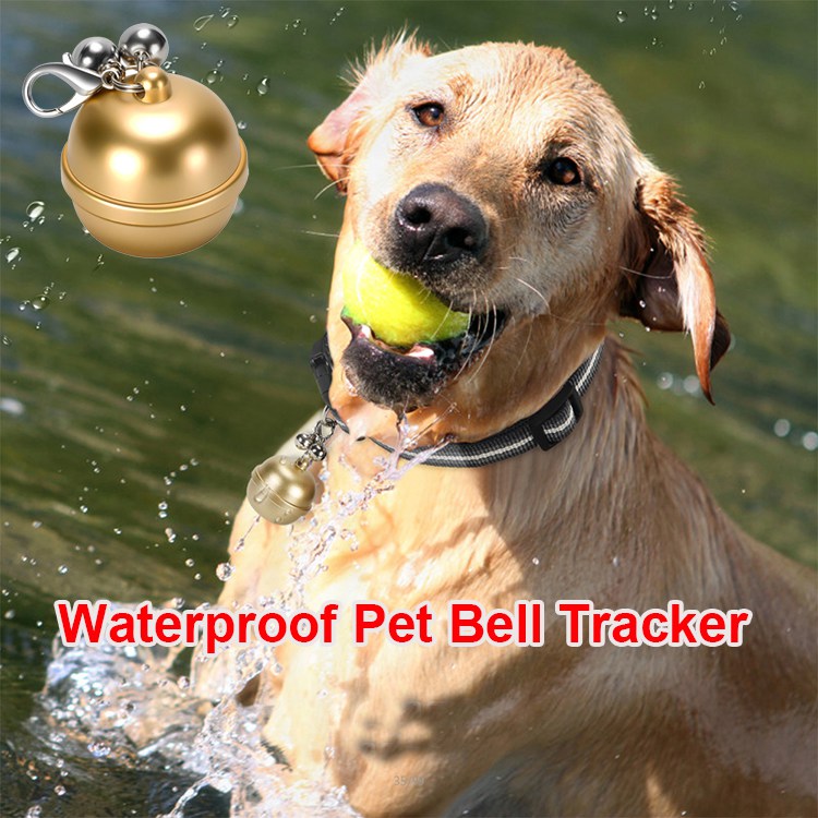 Factory OEM waterproof pet GPS tracker G12P with free leather collar support APP+Web+SMS tracking system for dog/cat